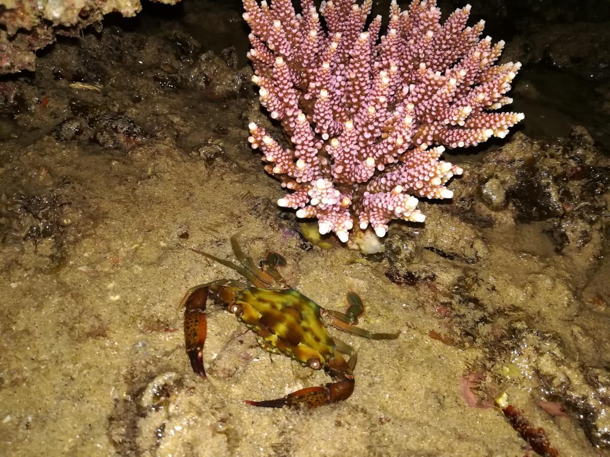 Simukut Place Kampong Pasir Sanang Burong Esterno foto